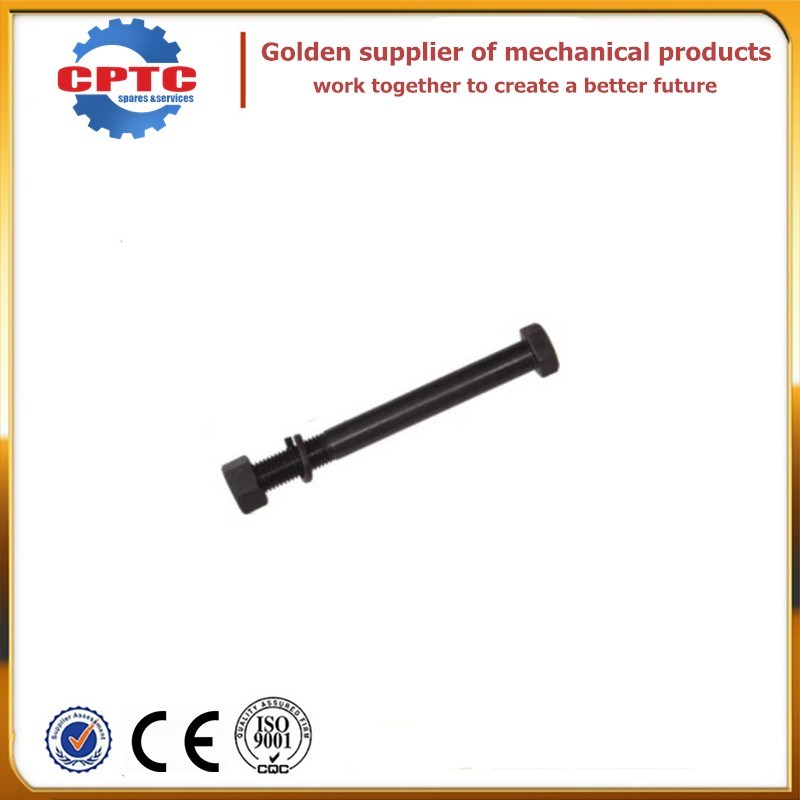 Black Stainless Steel Nut and Bolt for Construction Hoist